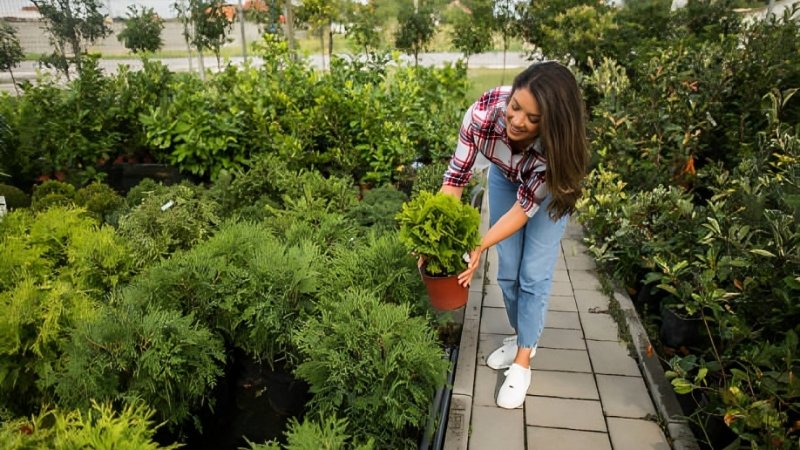 Choosing Plants for a Complete and Beautiful Yard