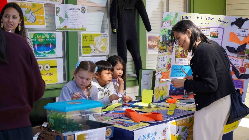 kindergarten-schools-near-me-project-based-learning