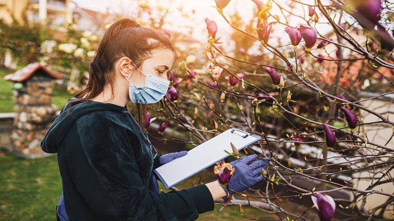 spring home maintenance checklist