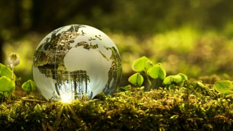 Environmental Management Strategies Australia