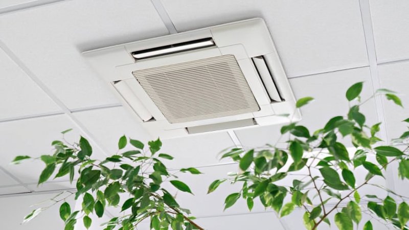 Persistent Odors and Indoor Air Quality